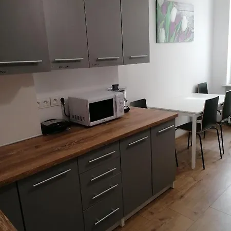 Appartement Tulip - Jednoosobowy Nr 3 Ze Wspolna Lazienka I Kuchnia
