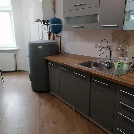 Appartement Tulip - Jednoosobowy Nr 3 Ze Wspolna Lazienka I Kuchnia *